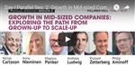 2: Growth in Mid-sized Companies: Exploring the Path from Grown-up to Scale-up